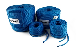 Blue Poly Rope - 8mm x 220m